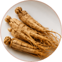 Panax Ginseng Extract